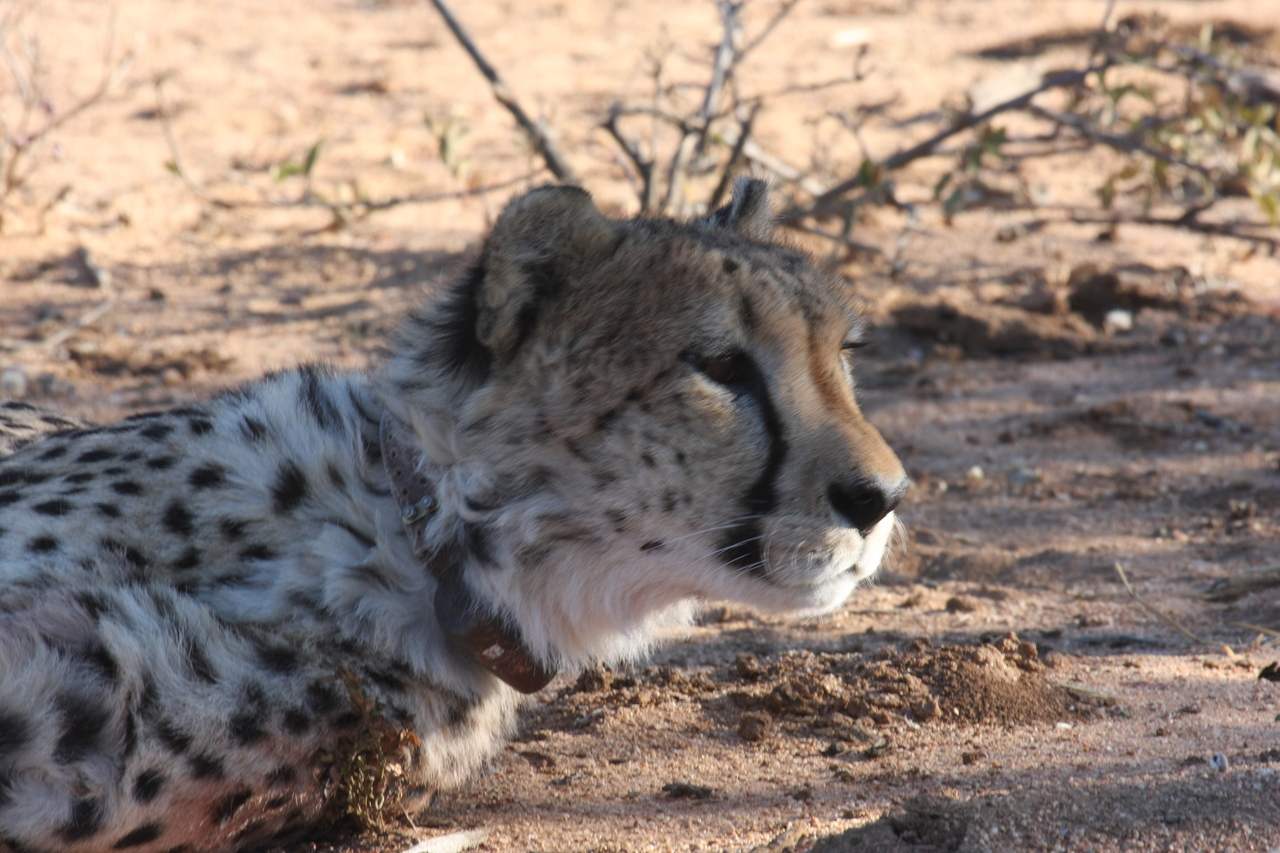 [1418] 2016_06_22_03_05_25_Africa_Canon_EOS_40D_IMG__00276.jpg