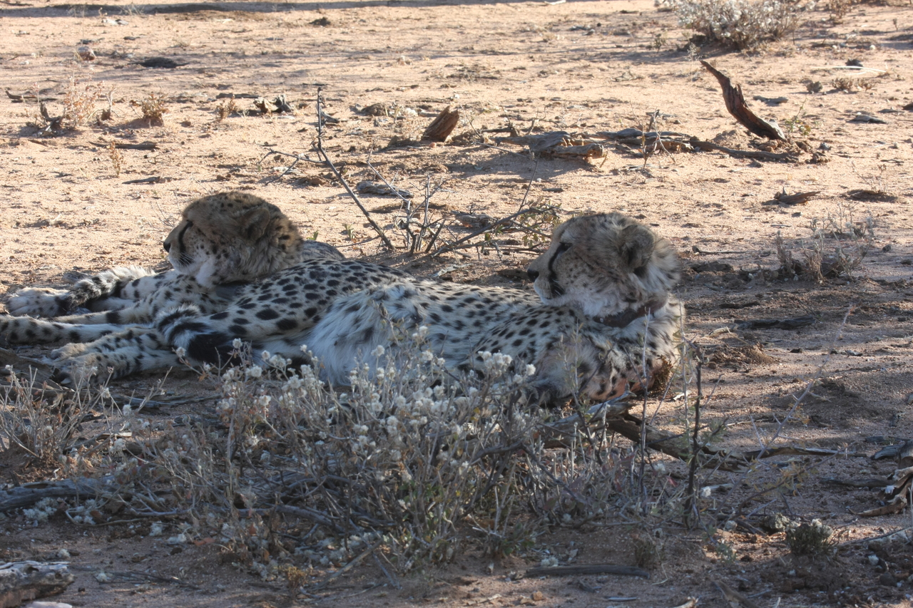 [1445] 2016_06_22_03_06_23_Africa_Canon_EOS_40D_IMG__00304.jpg