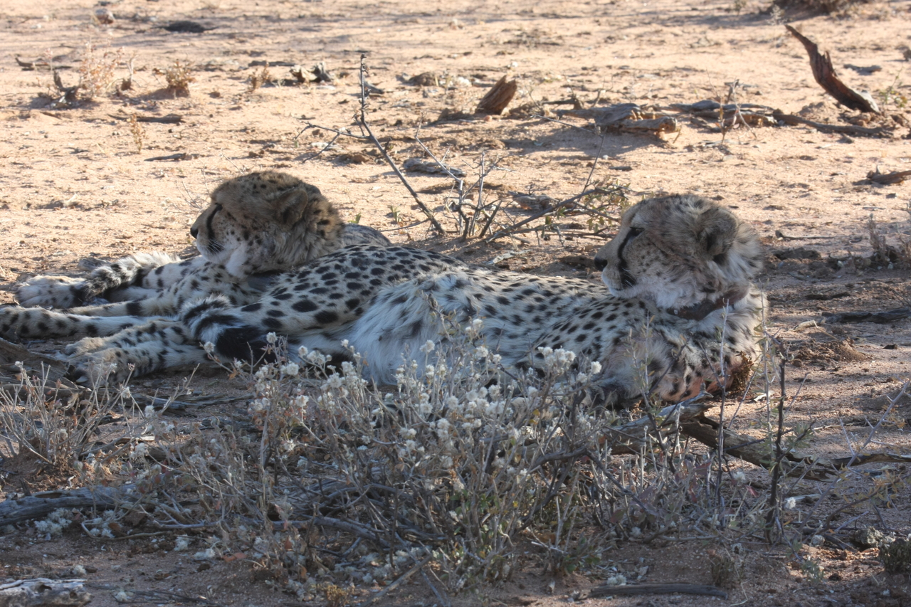 [1450] 2016_06_22_03_06_28_Africa_Canon_EOS_40D_IMG__07752.jpg