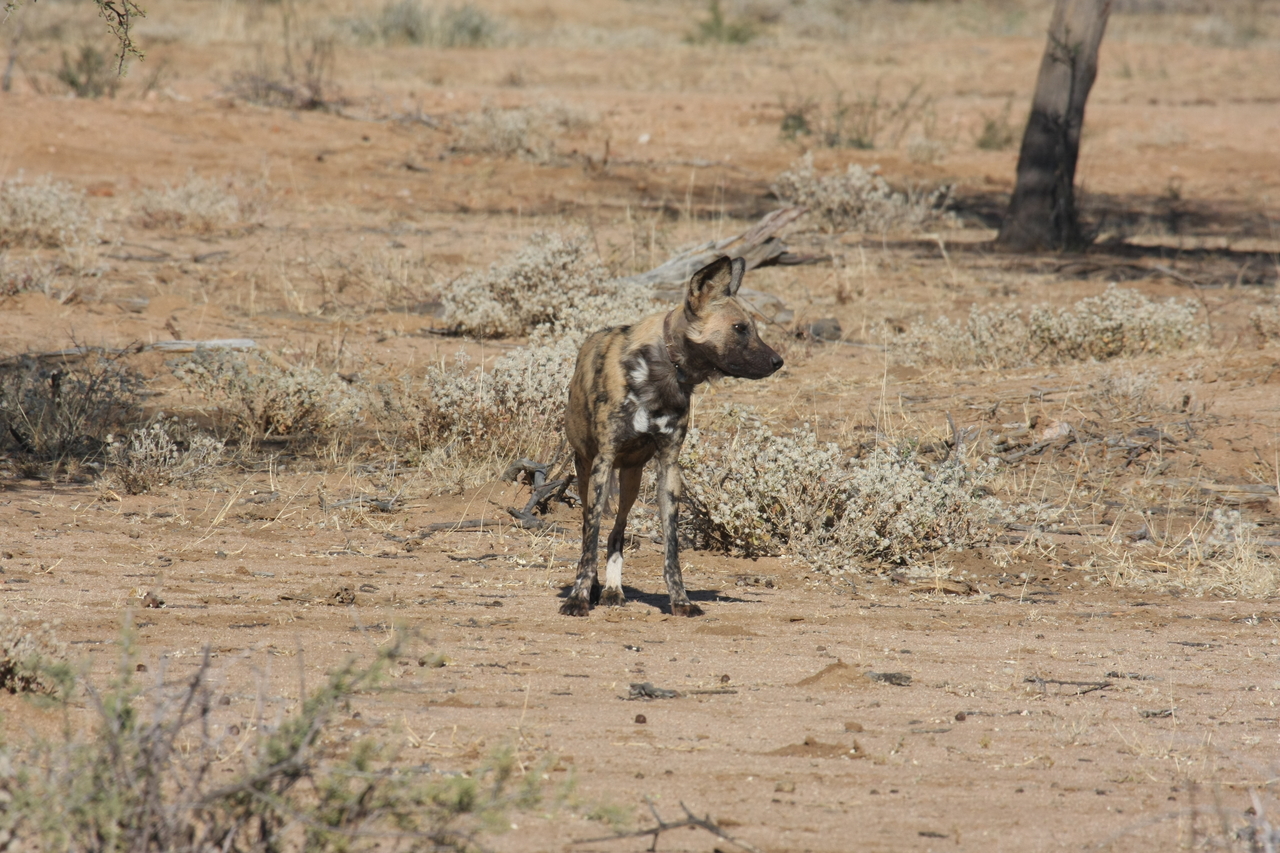 [1678] 2016_06_22_03_19_46_Africa_Canon_EOS_40D_IMG__00372.jpg