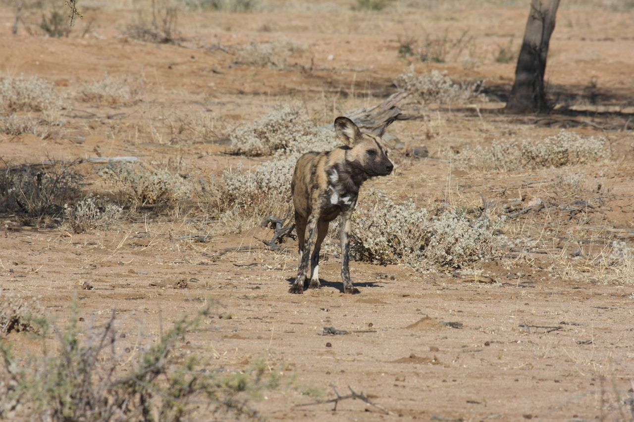 [1688] 2016_06_22_03_19_47_Africa_Canon_EOS_40D_IMG__07822.jpg