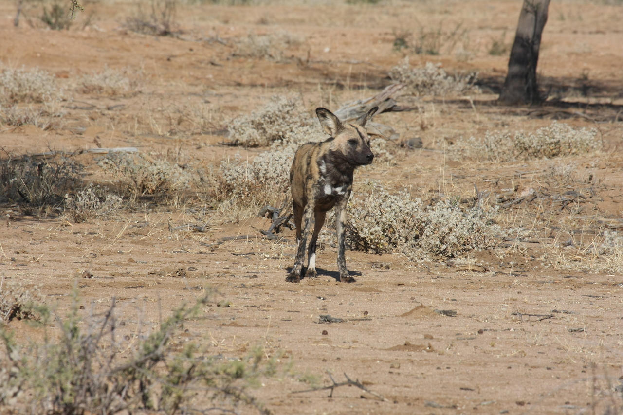[1690] 2016_06_22_03_19_48_Africa_Canon_EOS_40D_IMG__00376.jpg