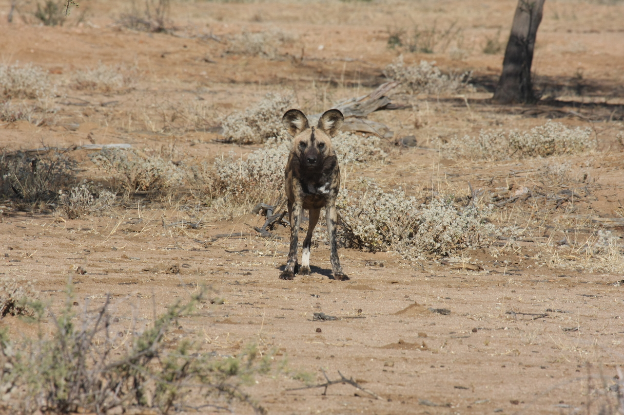 [1693] 2016_06_22_03_19_50_Africa_Canon_EOS_40D_IMG__00359.jpg