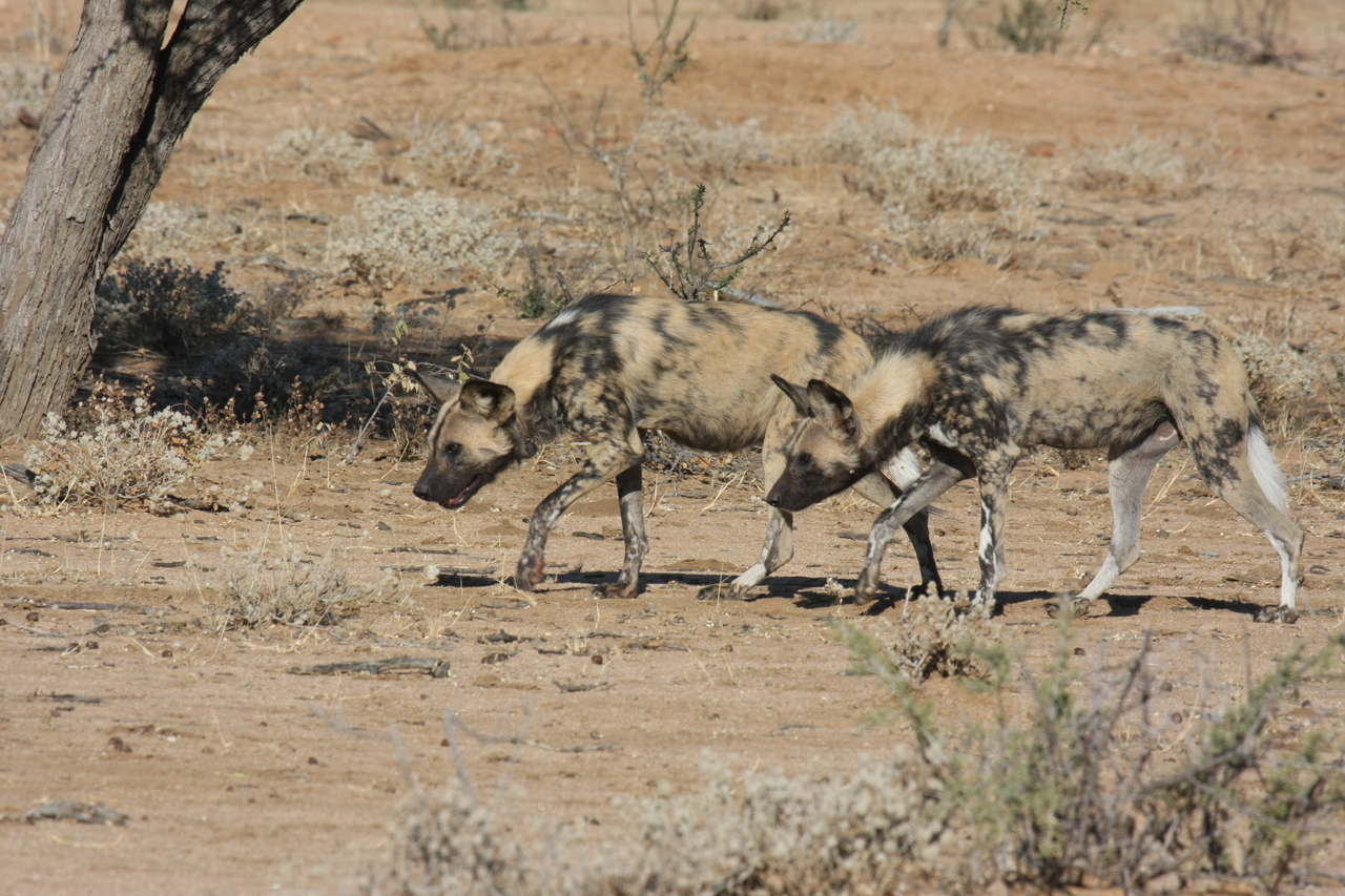 [1709] 2016_06_22_03_19_55_Africa_Canon_EOS_40D_IMG__07829.jpg