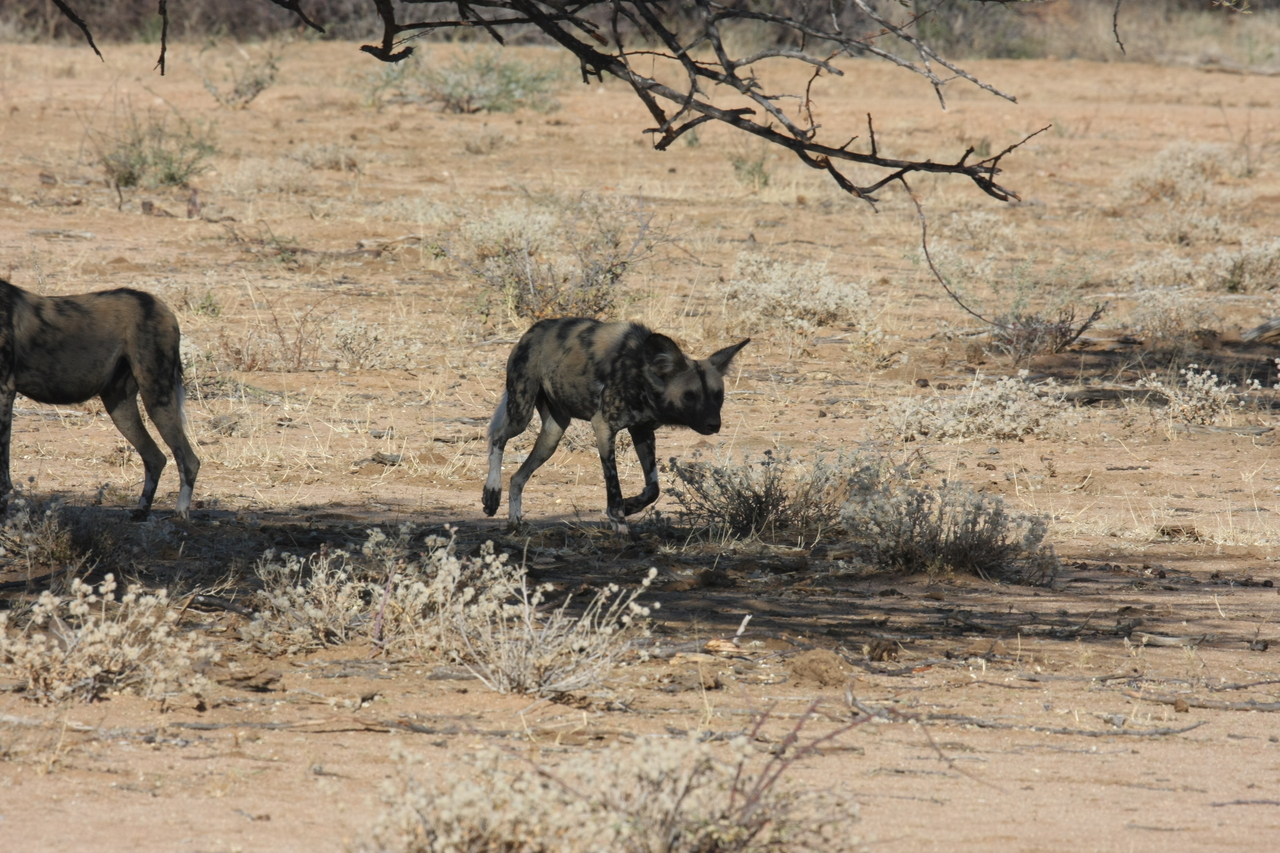 [1730] 2016_06_22_03_20_09_Africa_Canon_EOS_40D_IMG__07836.jpg