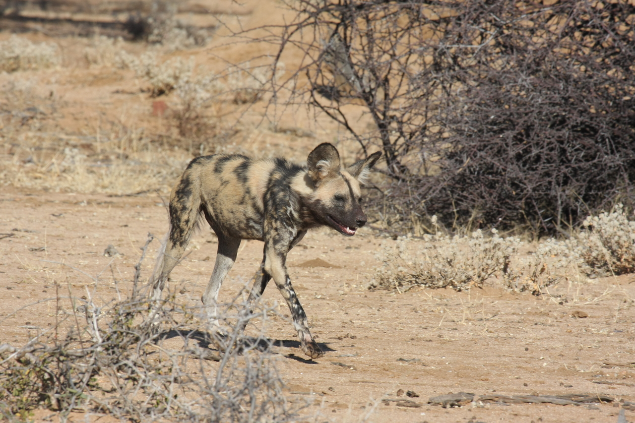 [1741] 2016_06_22_03_20_15_Africa_Canon_EOS_40D_IMG__07839.jpg
