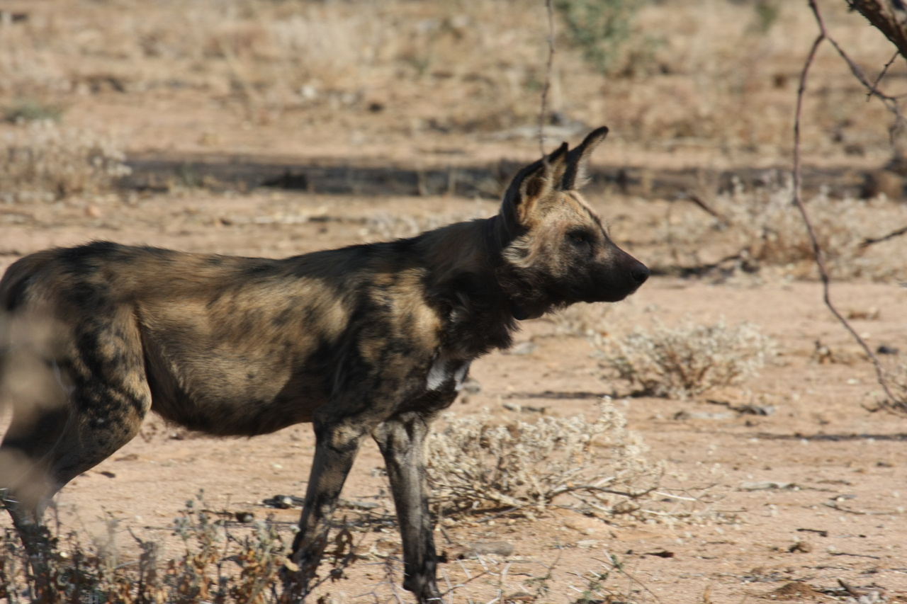 [1789] 2016_06_22_03_20_49_Africa_Canon_EOS_40D_IMG__00389.jpg