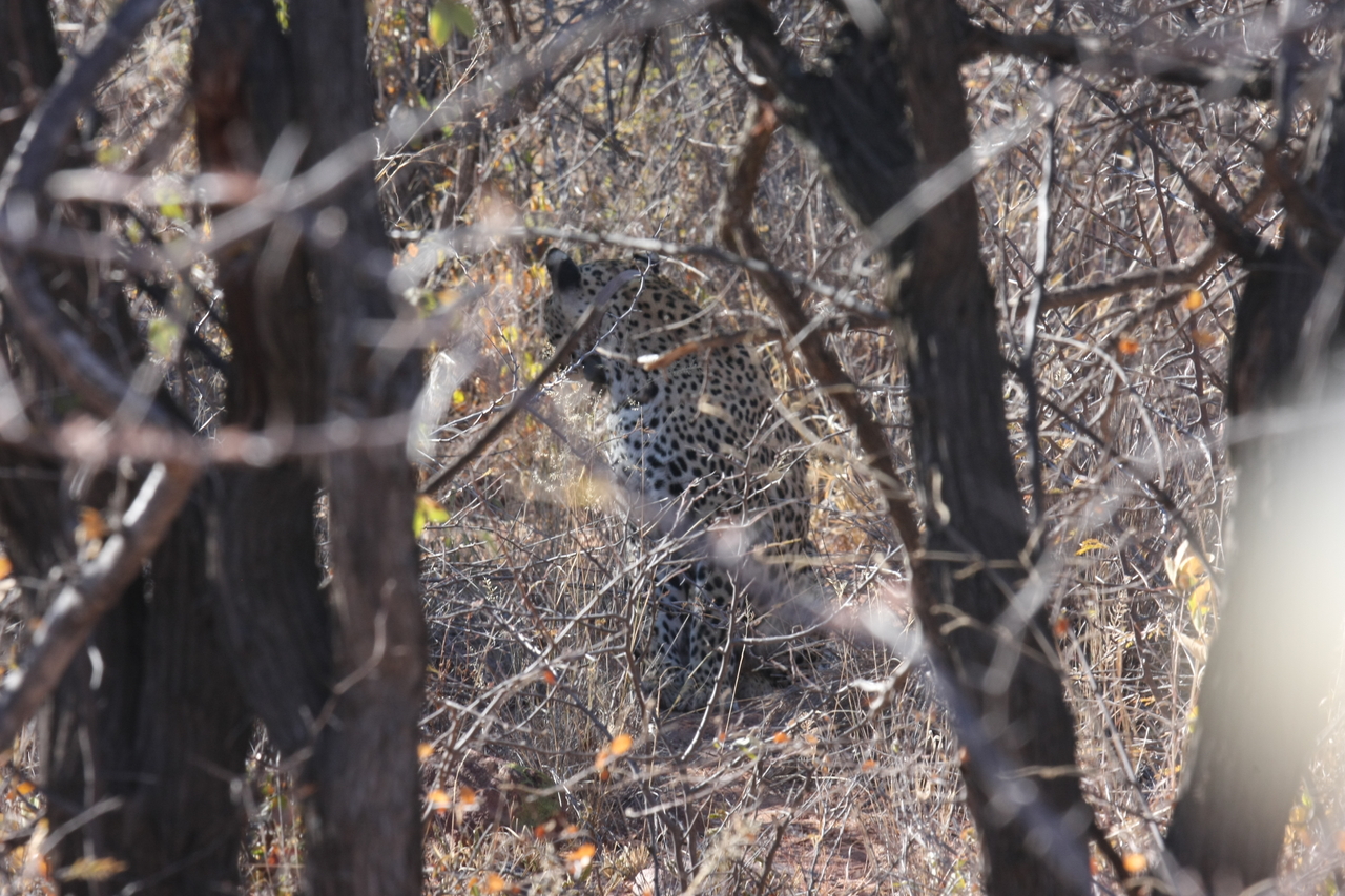 [1979] 2016_06_22_04_05_09_Africa_Canon_EOS_40D_IMG__00447.jpg