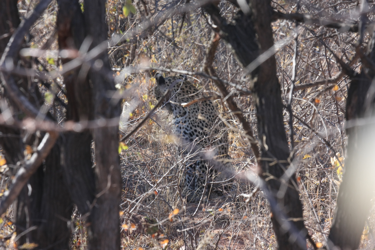 [1981] 2016_06_22_04_05_09_Africa_Canon_EOS_40D_IMG__00465.jpg