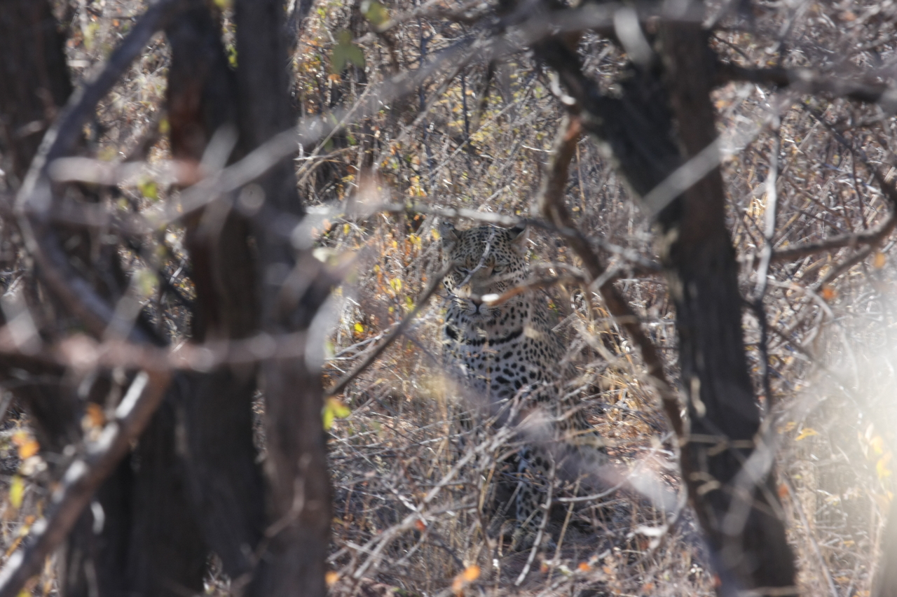 [2013] 2016_06_22_04_05_28_Africa_Canon_EOS_40D_IMG__00475.jpg