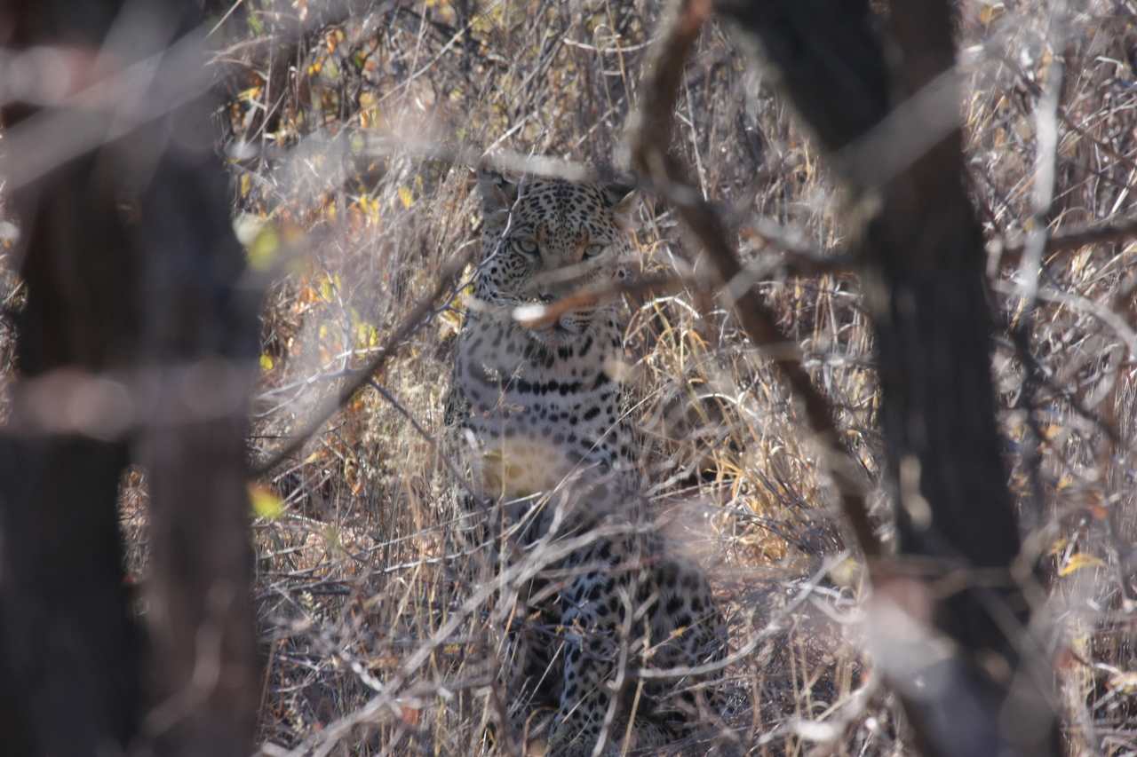 [2032] 2016_06_22_04_05_46_Africa_Canon_EOS_40D_IMG__00464.jpg