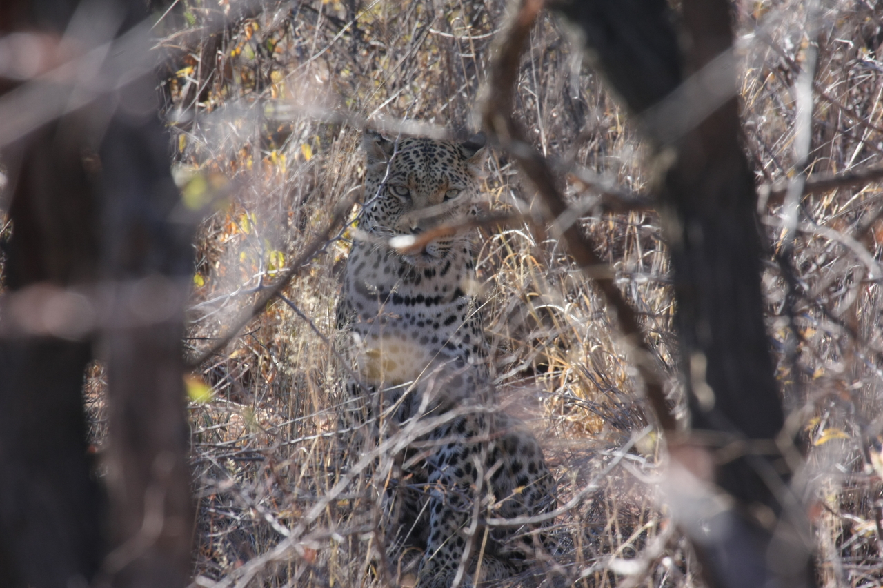 [2044] 2016_06_22_04_05_47_Africa_Canon_EOS_40D_IMG__07932.jpg