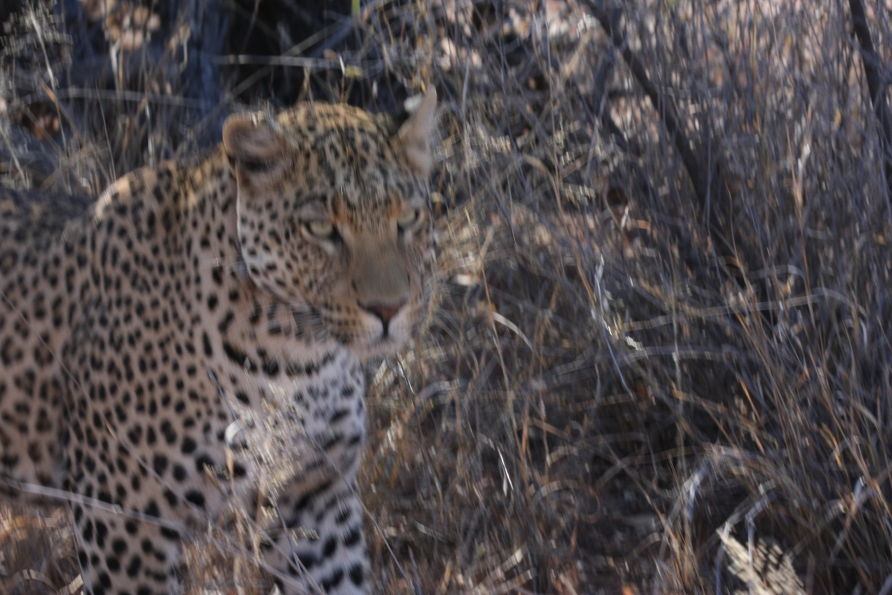 [2070] 2016_06_22_04_07_07_Africa_Canon_EOS_40D_IMG__00476.jpg