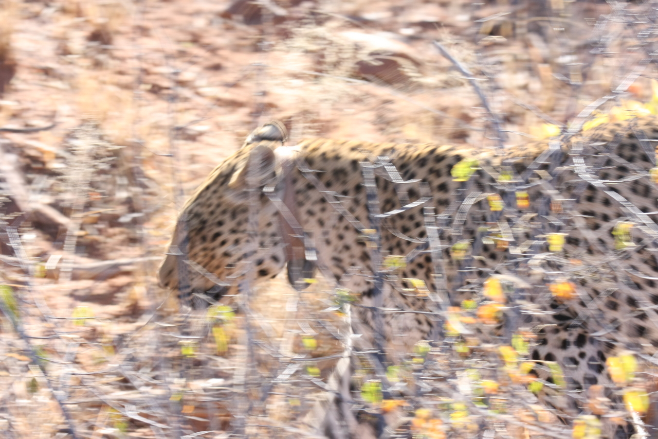 [2110] 2016_06_22_04_07_15_Africa_Canon_EOS_40D_IMG__00508.jpg
