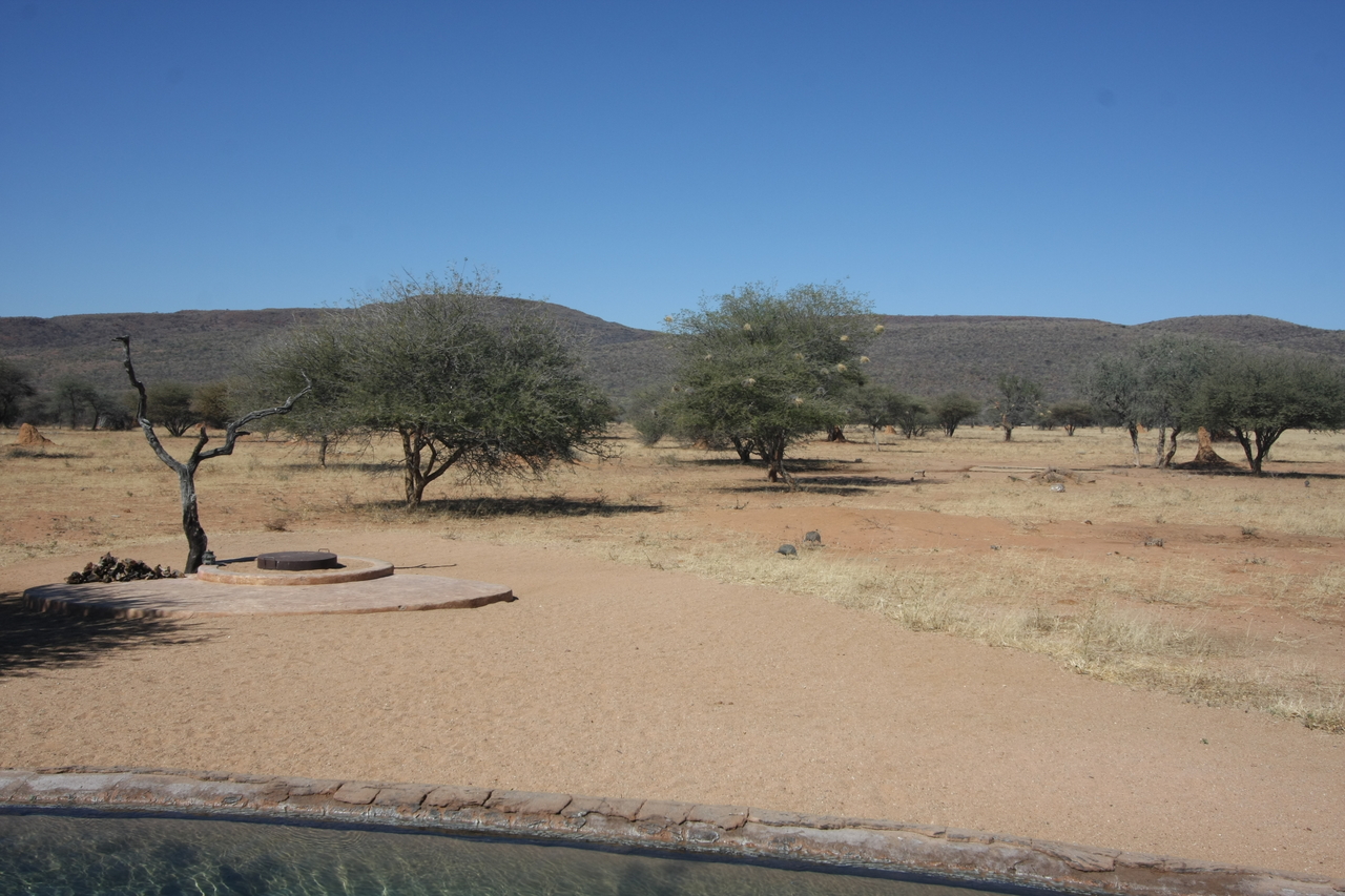 [2272] 2016_06_22_07_36_13_Africa_Canon_EOS_40D_IMG__07978.jpg