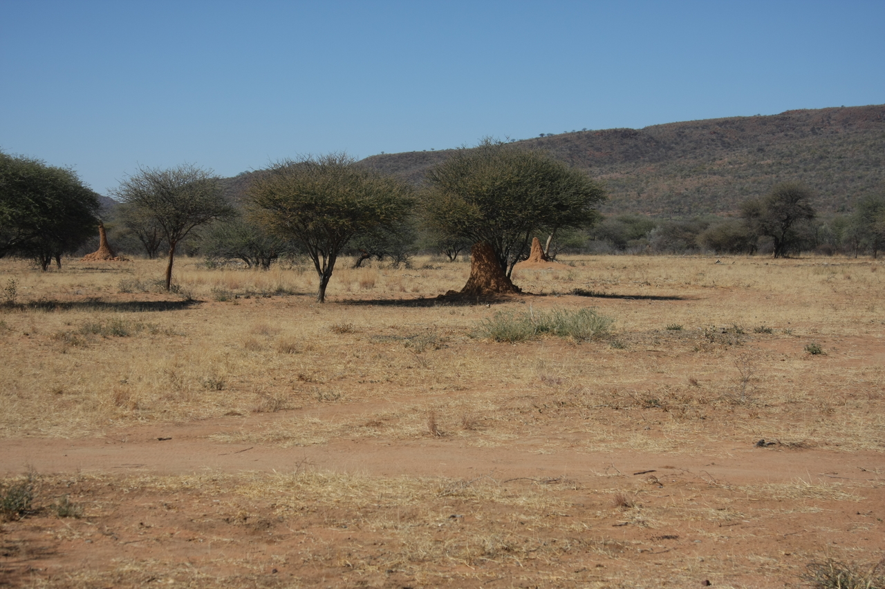 [2281] 2016_06_22_07_39_47_Africa_Canon_EOS_40D_IMG__00515.jpg