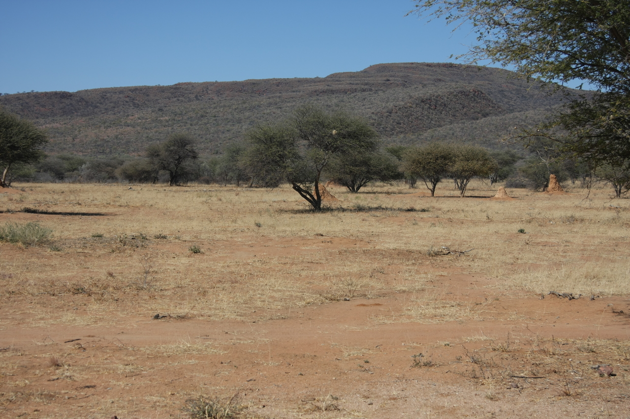 [2284] 2016_06_22_07_39_54_Africa_Canon_EOS_40D_IMG__00516.jpg