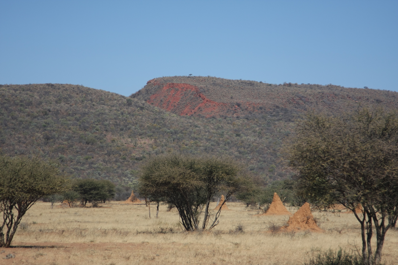 [2288] 2016_06_22_07_41_05_Africa_Canon_EOS_40D_IMG__00536.jpg