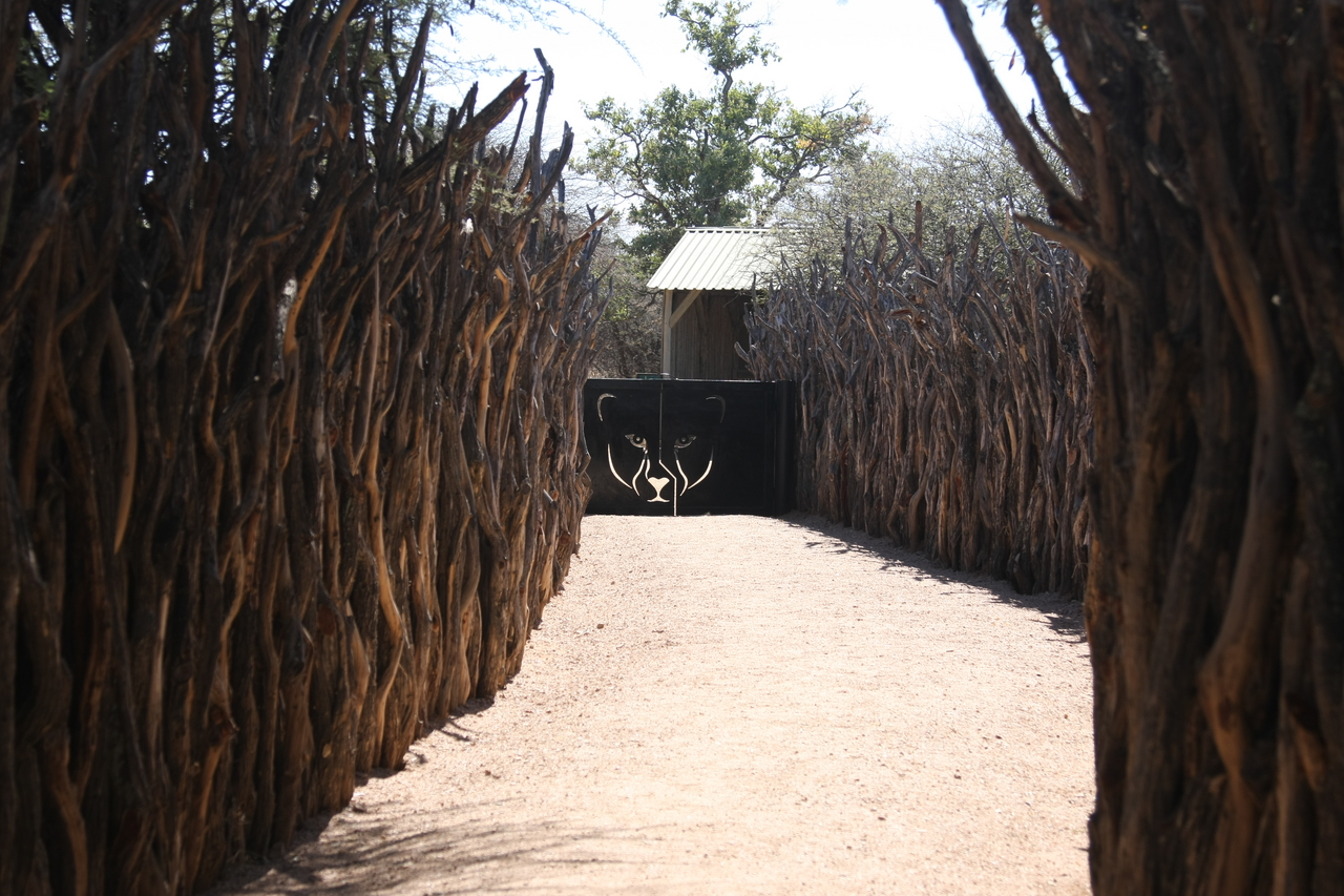 [2315] 2016_06_22_07_43_08_Africa_Canon_EOS_40D_IMG__00545.jpg