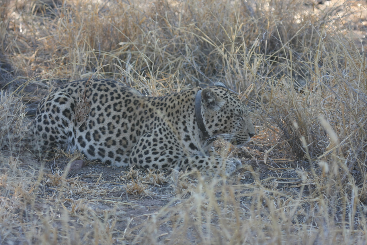 [2626] 2016_06_22_11_00_12_Africa_Canon_EOS_40D_IMG__00546.jpg