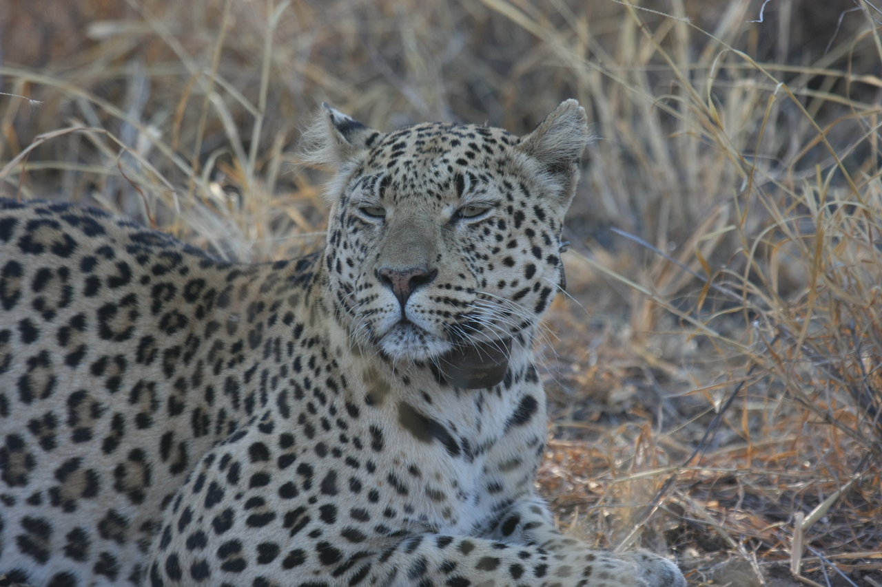 [2700] 2016_06_22_11_02_08_Africa_Canon_EOS_40D_IMG__00572.jpg