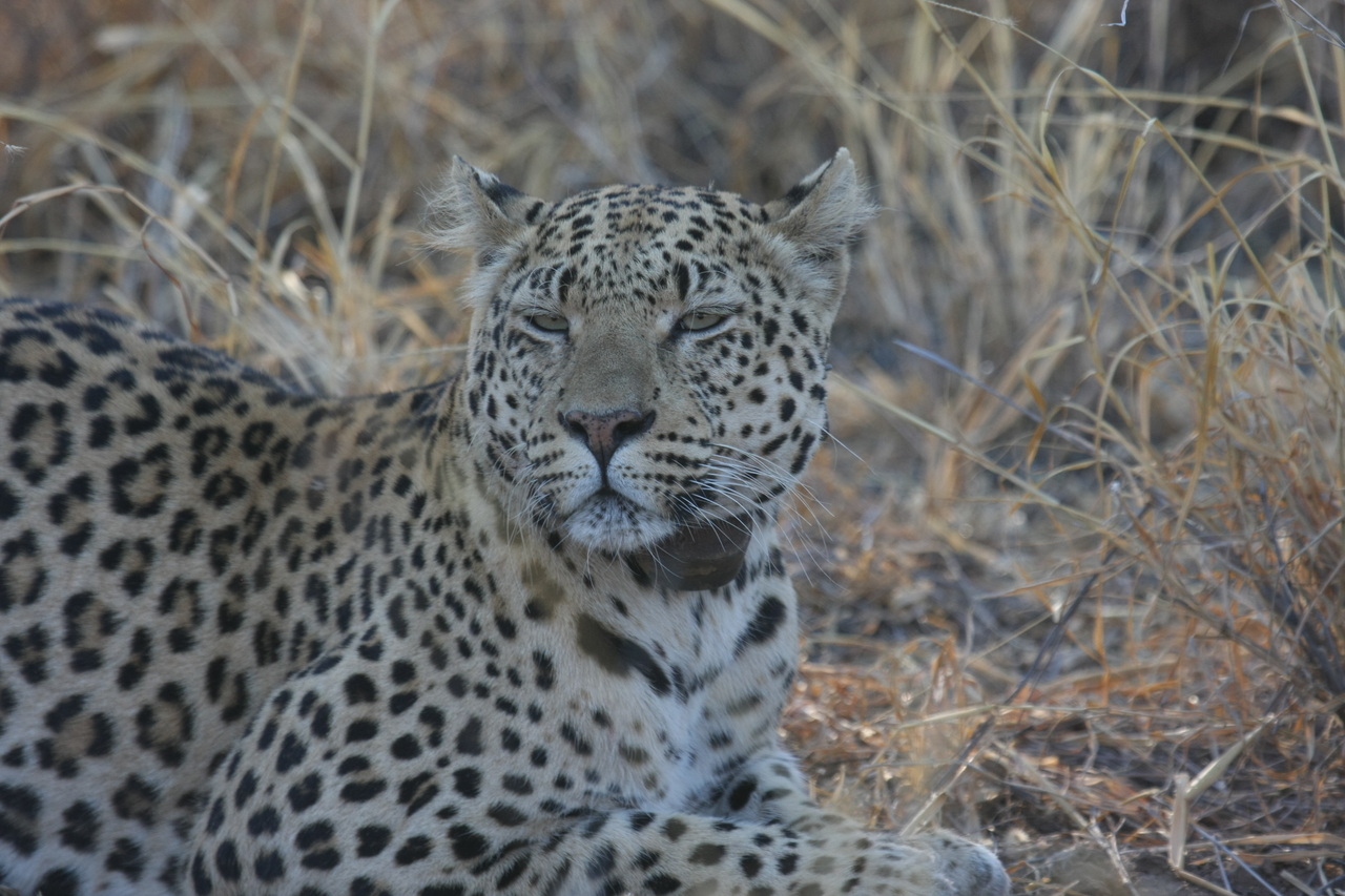 [2707] 2016_06_22_11_02_09_Africa_Canon_EOS_40D_IMG__00573.jpg