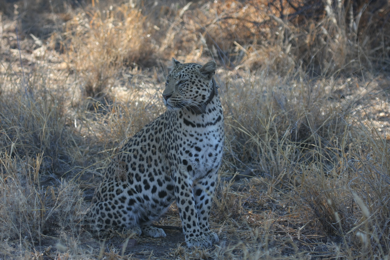 [2753] 2016_06_22_11_02_33_Africa_Canon_EOS_40D_IMG__00589.jpg