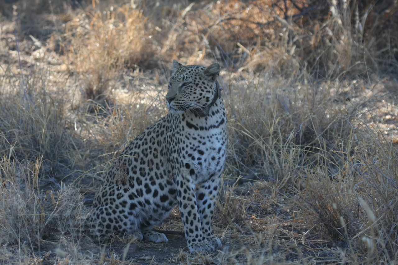 [2754] 2016_06_22_11_02_33_Africa_Canon_EOS_40D_IMG__00607.jpg