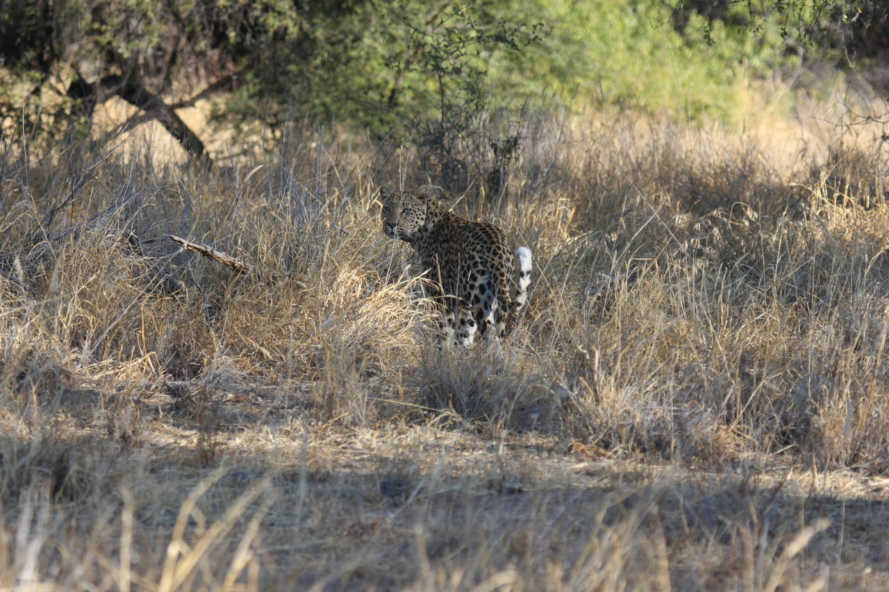 [2840] 2016_06_22_11_04_00_Africa_Canon_EOS_40D_IMG__08080.jpg