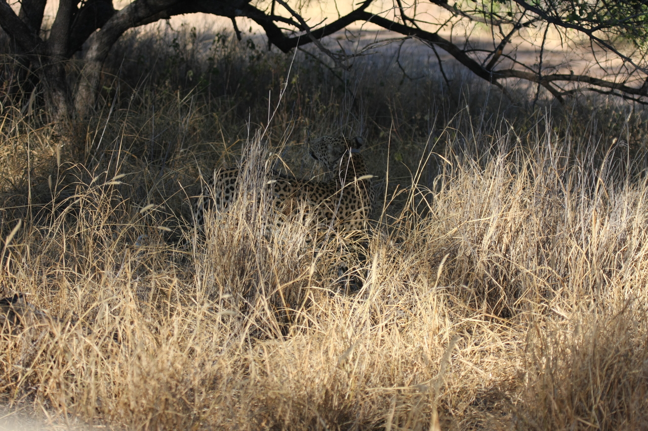 [2895] 2016_06_22_11_05_51_Africa_Canon_EOS_40D_IMG__00653.jpg