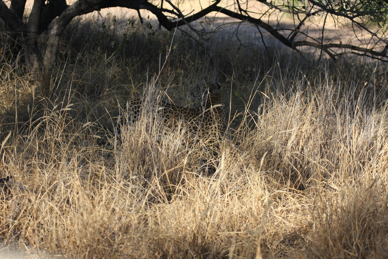 [2897] 2016_06_22_11_05_51_Africa_Canon_EOS_40D_IMG__08099.jpg