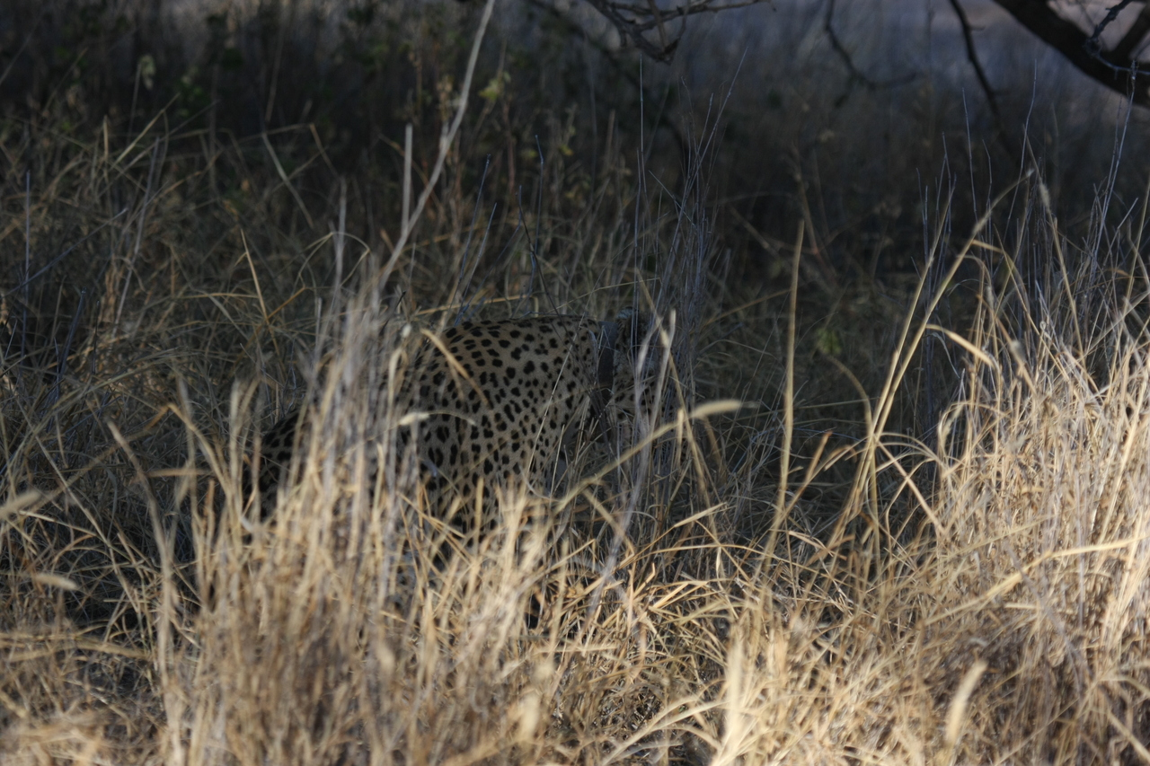 [2910] 2016_06_22_11_06_22_Africa_Canon_EOS_40D_IMG__08104.jpg