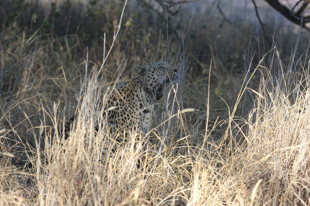 [2913] 2016_06_22_11_06_25_Africa_Canon_EOS_40D_IMG__00641.jpg