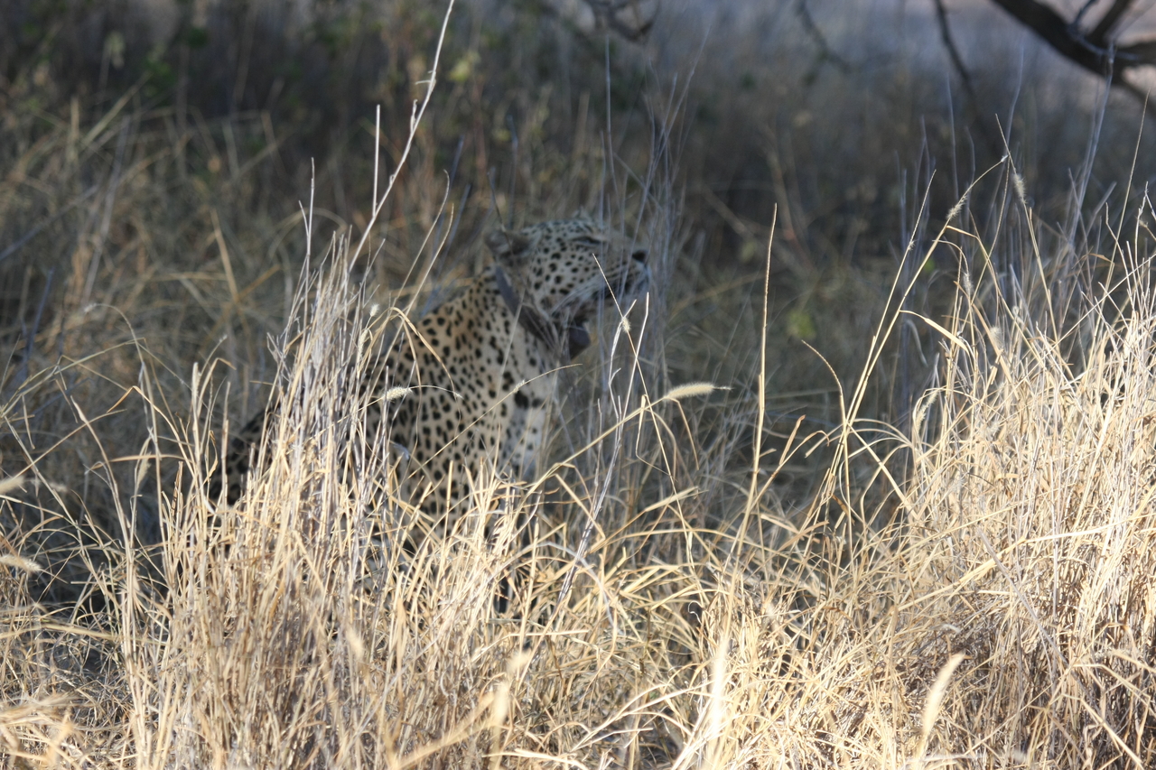 [2915] 2016_06_22_11_06_25_Africa_Canon_EOS_40D_IMG__00659.jpg