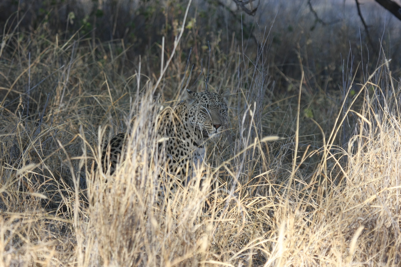 [2927] 2016_06_22_11_06_27_Africa_Canon_EOS_40D_IMG__00663.jpg