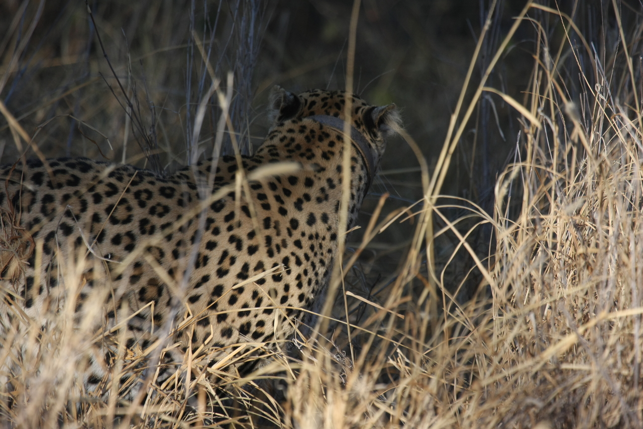 [2931] 2016_06_22_11_06_37_Africa_Canon_EOS_40D_IMG__08111.jpg