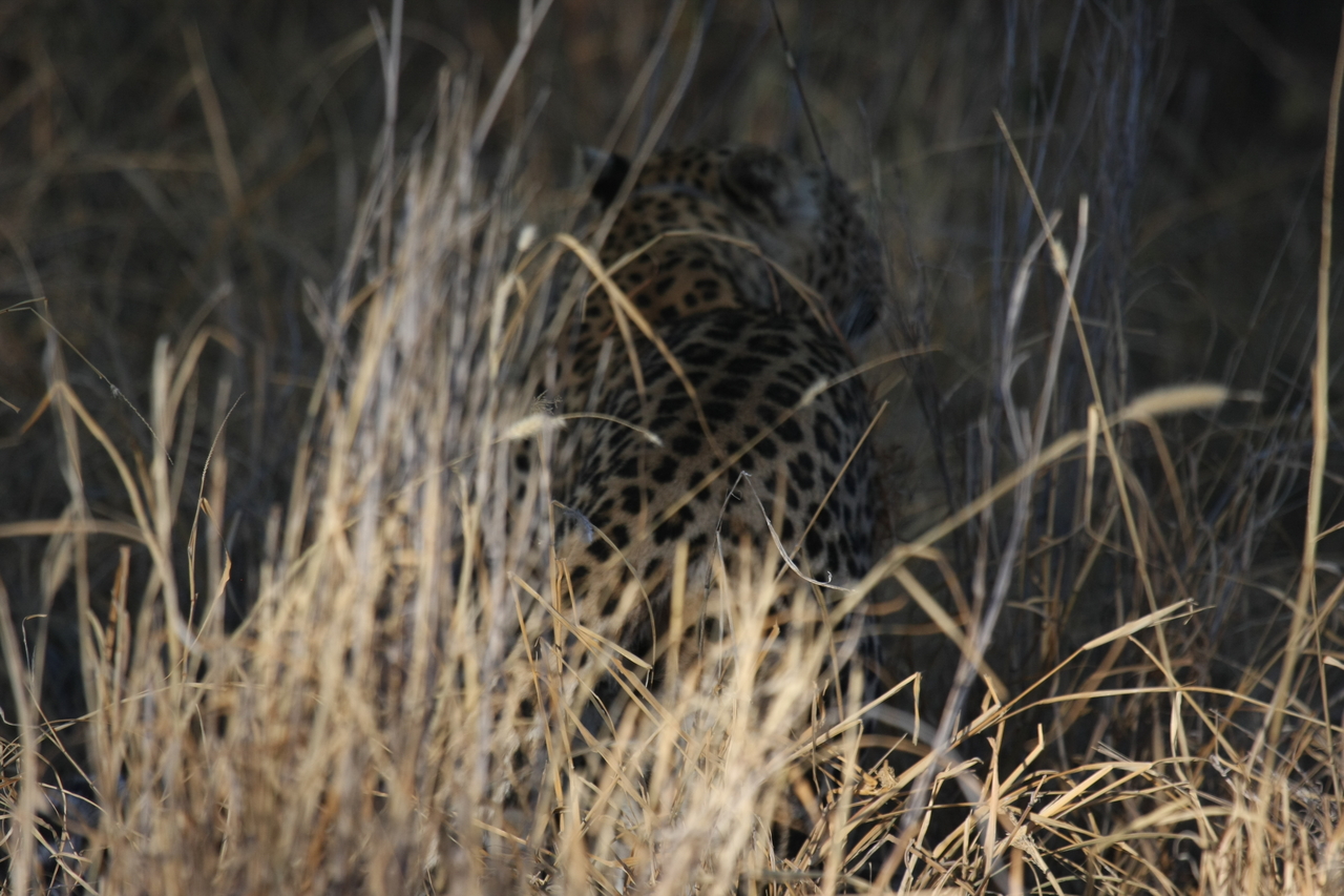 [2934] 2016_06_22_11_06_42_Africa_Canon_EOS_40D_IMG__08112.jpg