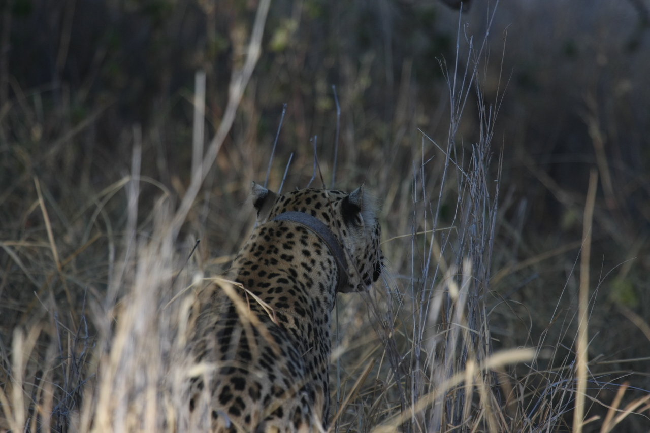 [2935] 2016_06_22_11_06_44_Africa_Canon_EOS_40D_IMG__00647.jpg