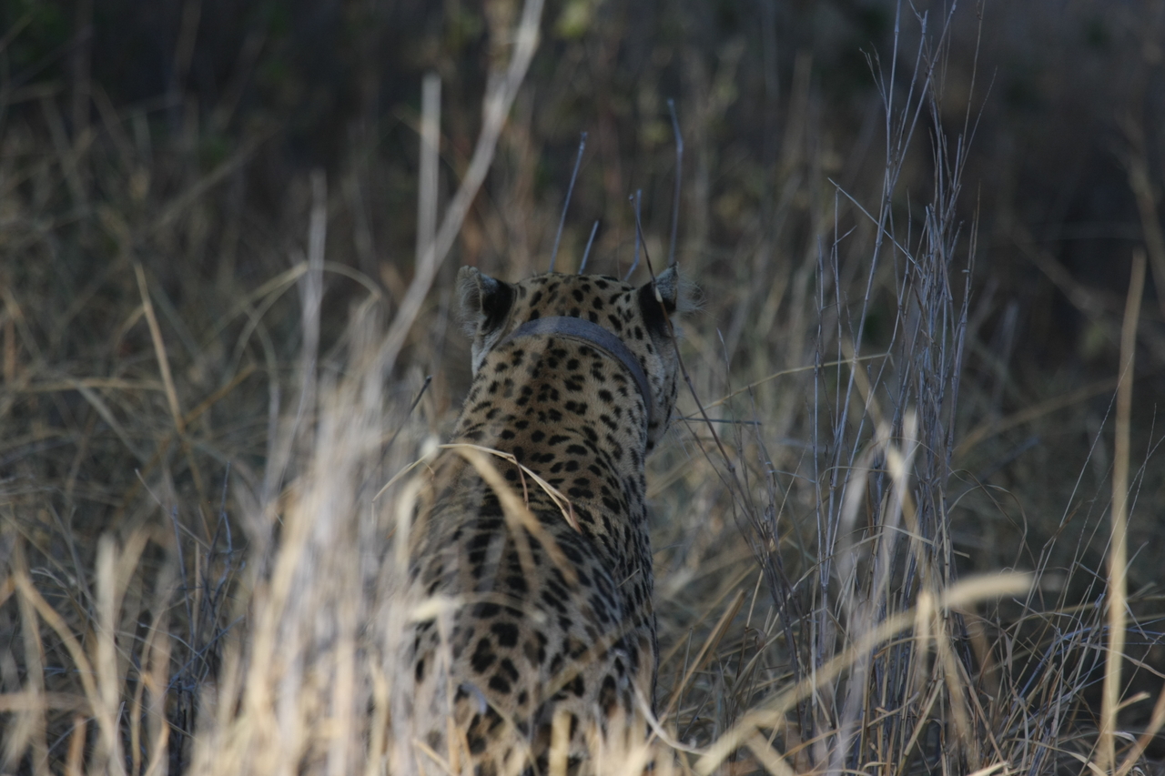 [2939] 2016_06_22_11_06_45_Africa_Canon_EOS_40D_IMG__00667.jpg