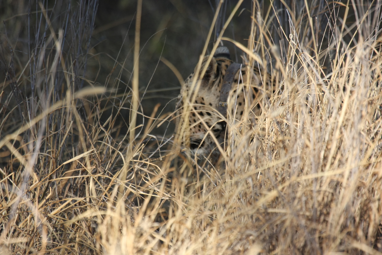 [2947] 2016_06_22_11_07_31_Africa_Canon_EOS_40D_IMG__00670.jpg