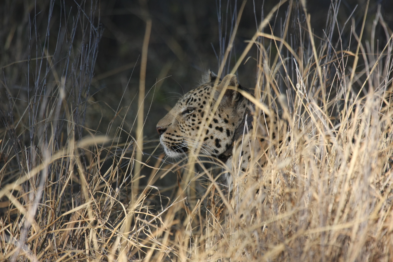 [2958] 2016_06_22_11_08_01_Africa_Canon_EOS_40D_IMG__08120.jpg