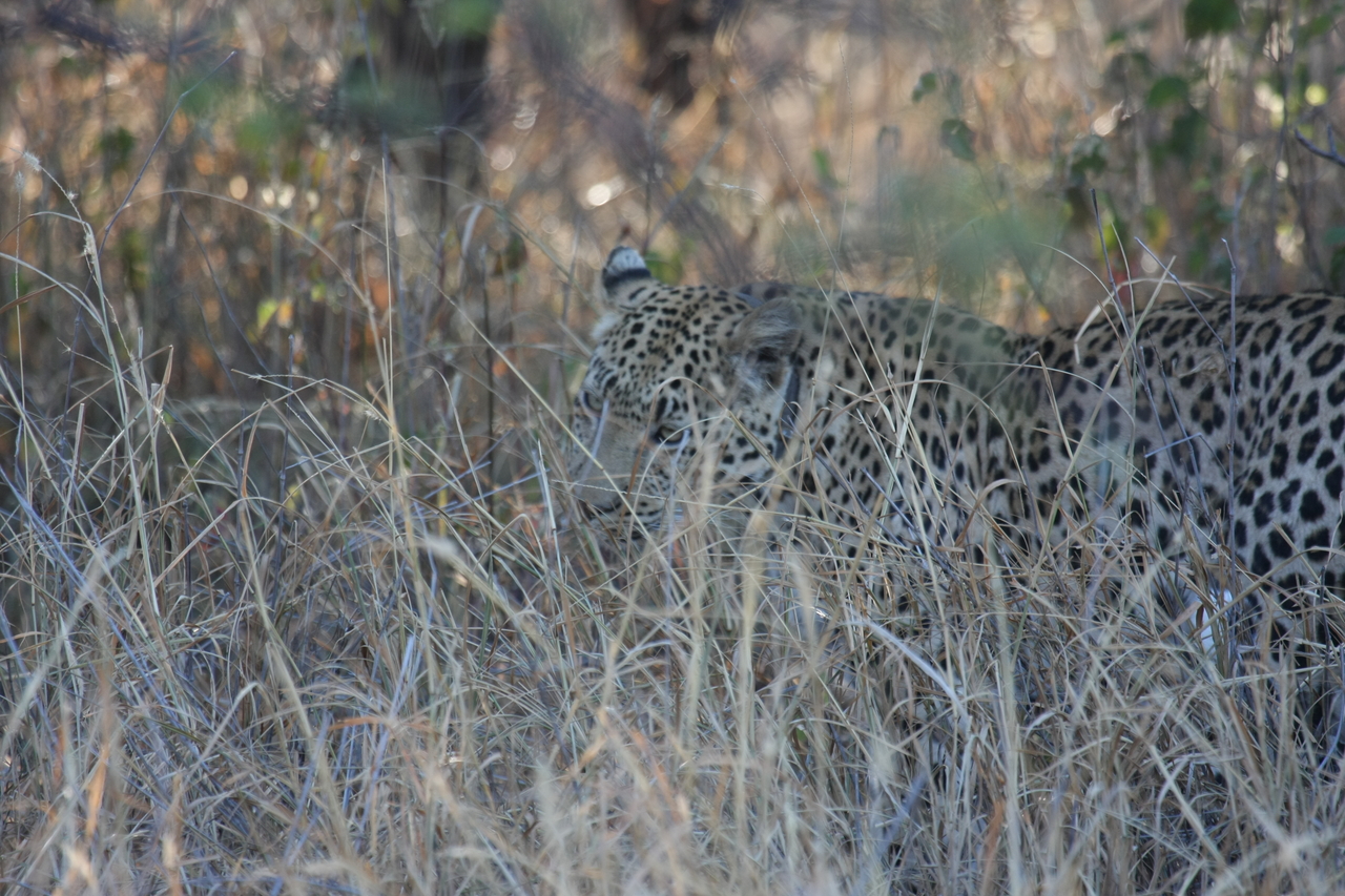 [2970] 2016_06_22_11_10_50_Africa_Canon_EOS_40D_IMG__00674.jpg