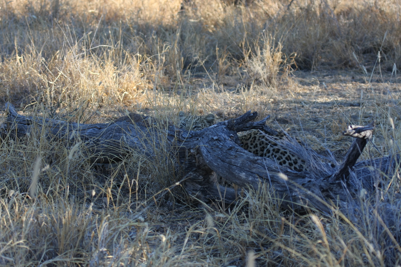 [3026] 2016_06_22_11_18_52_Africa_Canon_EOS_40D_IMG__00672.jpg