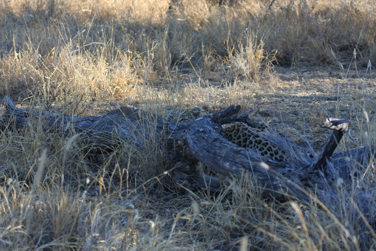 [3029] 2016_06_22_11_18_52_Africa_Canon_EOS_40D_IMG__00692.jpg