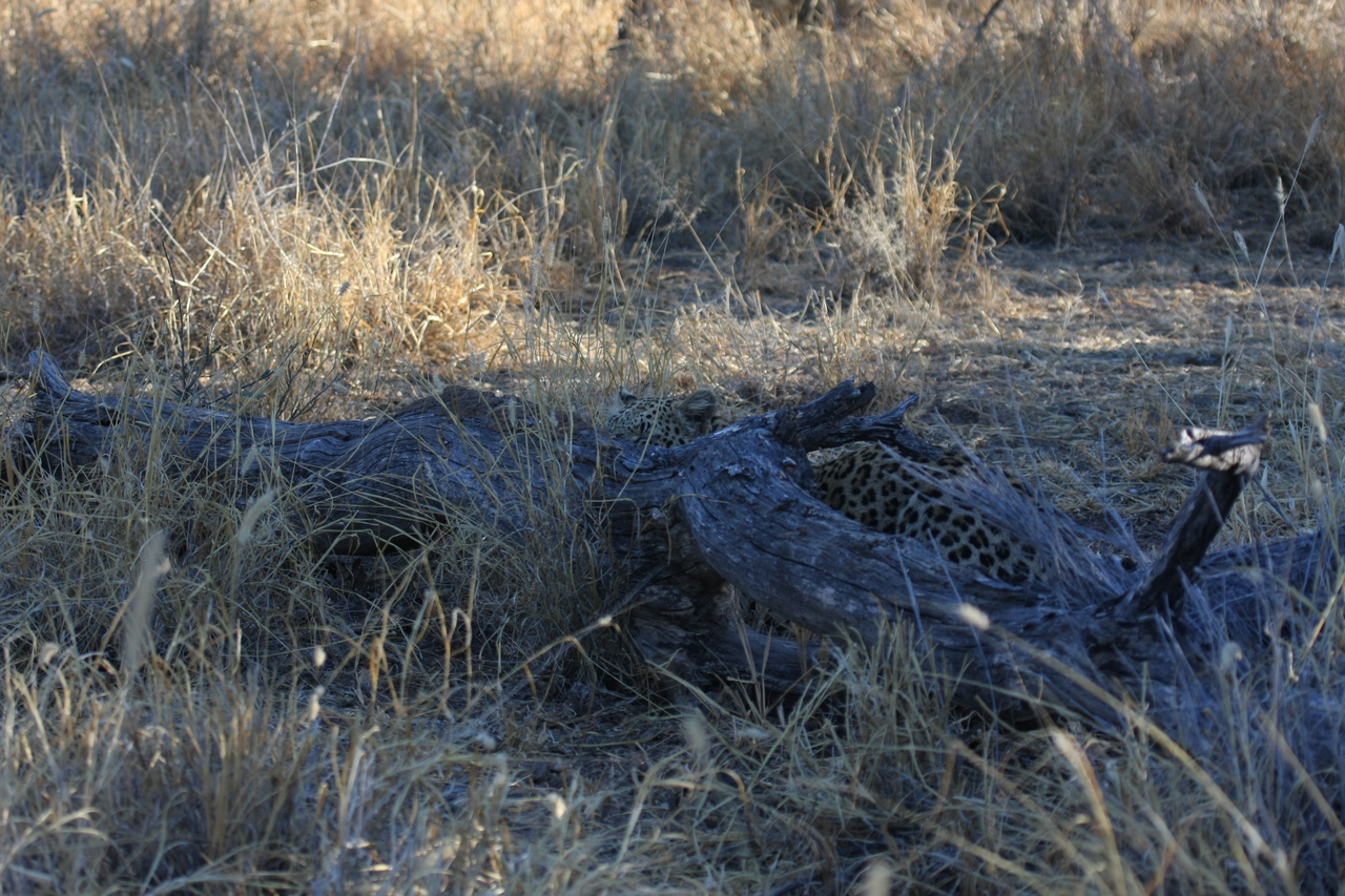 [3035] 2016_06_22_11_18_56_Africa_Canon_EOS_40D_IMG__00693.jpg