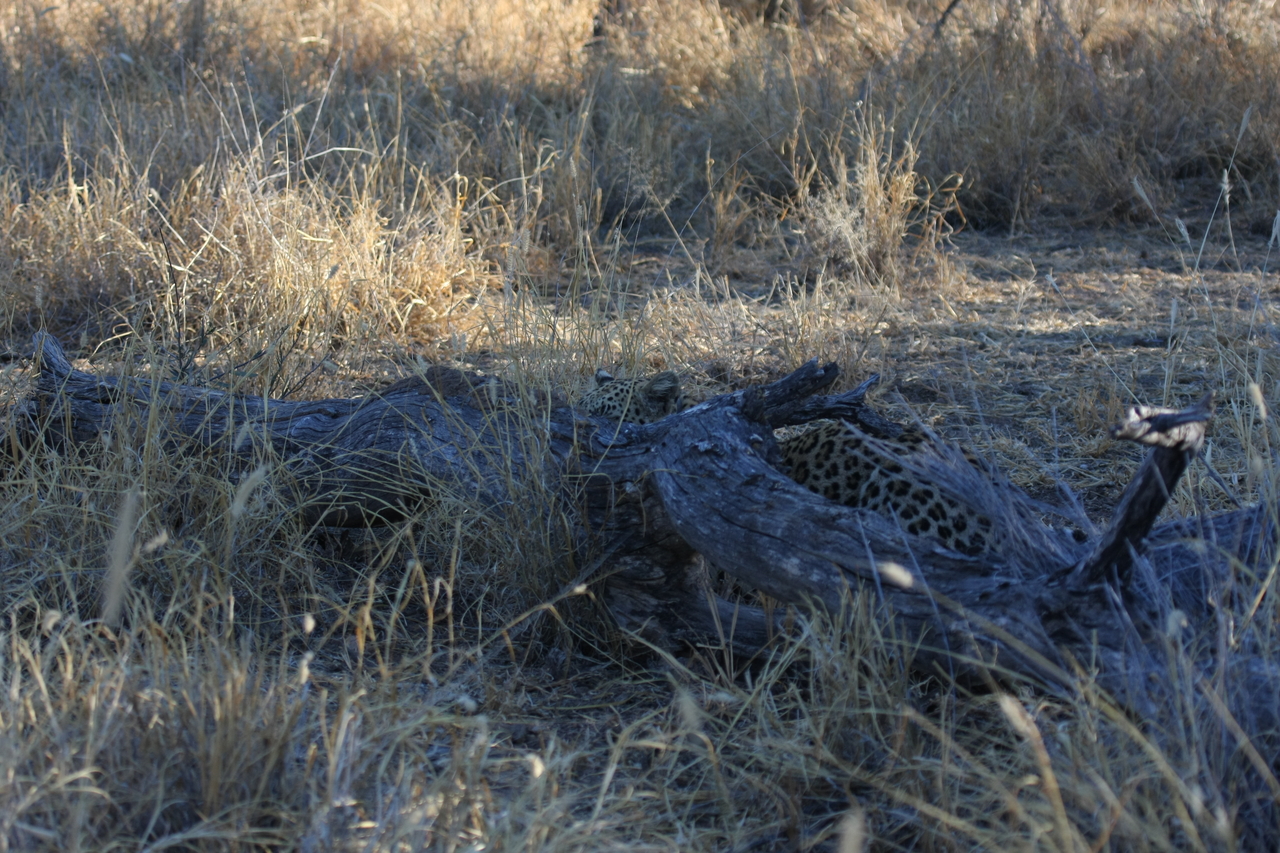 [3037] 2016_06_22_11_18_56_Africa_Canon_EOS_40D_IMG__00695.jpg