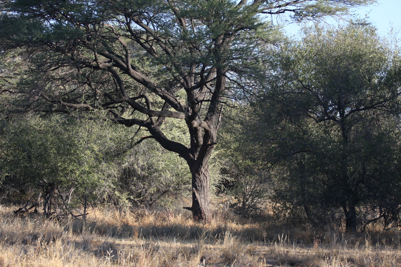 [3041] 2016_06_22_11_20_13_Africa_Canon_EOS_40D_IMG__00677.jpg