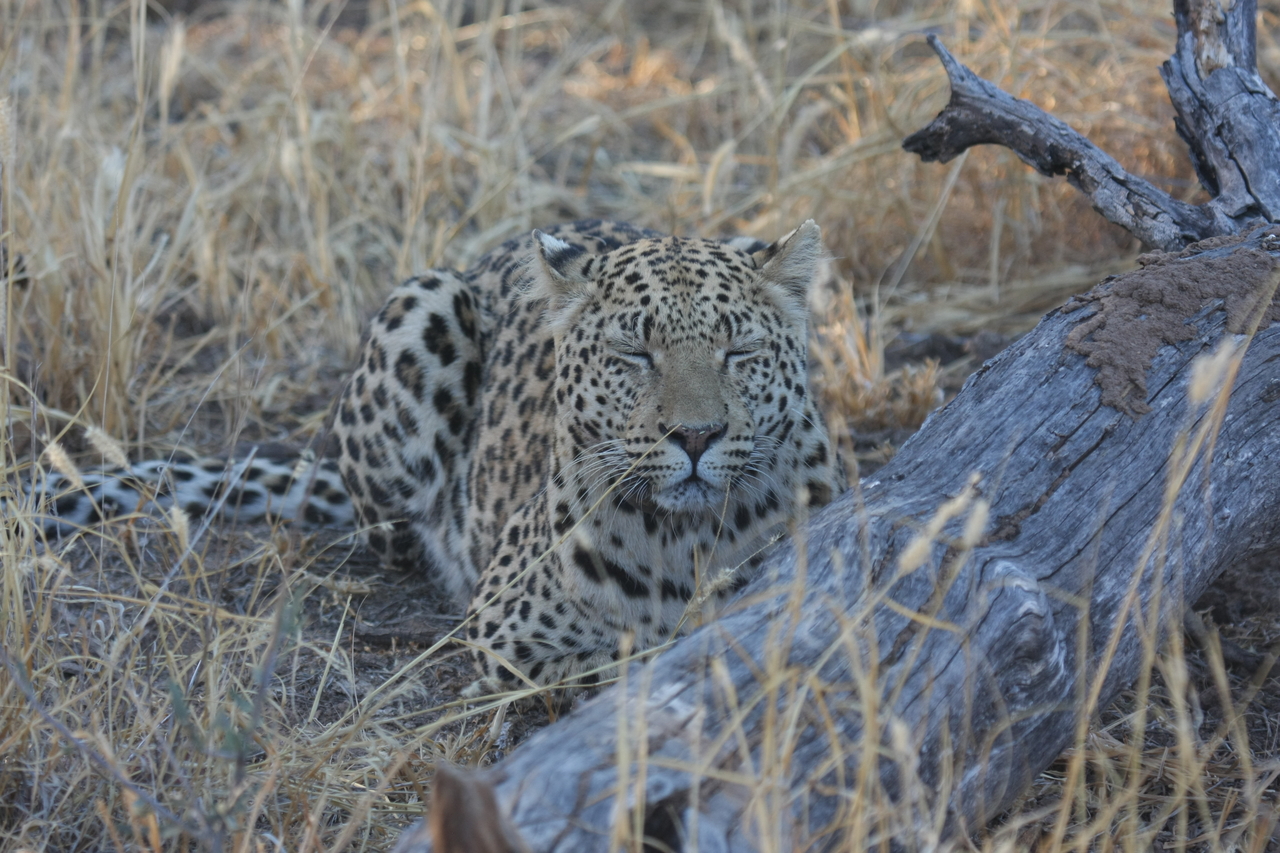 [3044] 2016_06_22_11_22_23_Africa_Canon_EOS_40D_IMG__00678.jpg