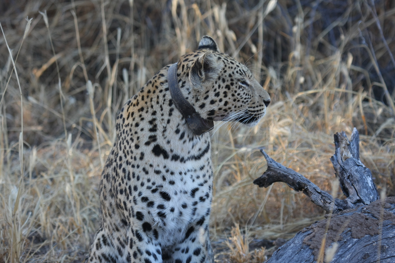 [3098] 2016_06_22_11_22_44_Africa_Canon_EOS_40D_IMG__00713.jpg