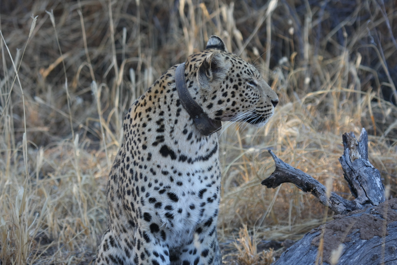 [3099] 2016_06_22_11_22_44_Africa_Canon_EOS_40D_IMG__00714.jpg